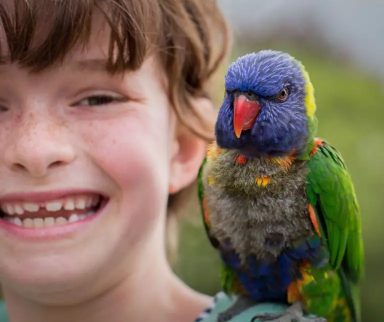 Does My Bird Love Me Animals HQ